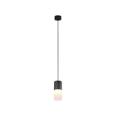 Hengelampe ROBIN Trio Lighting Inter E27